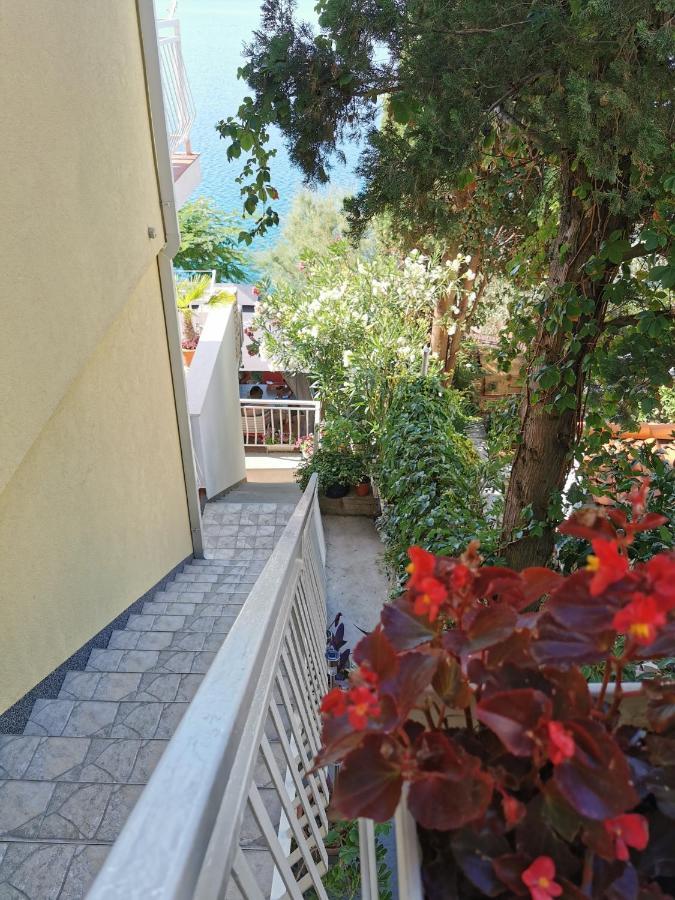 Apartments Ljiljana Клек Екстер'єр фото